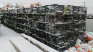 Lobster Traps in the Snow